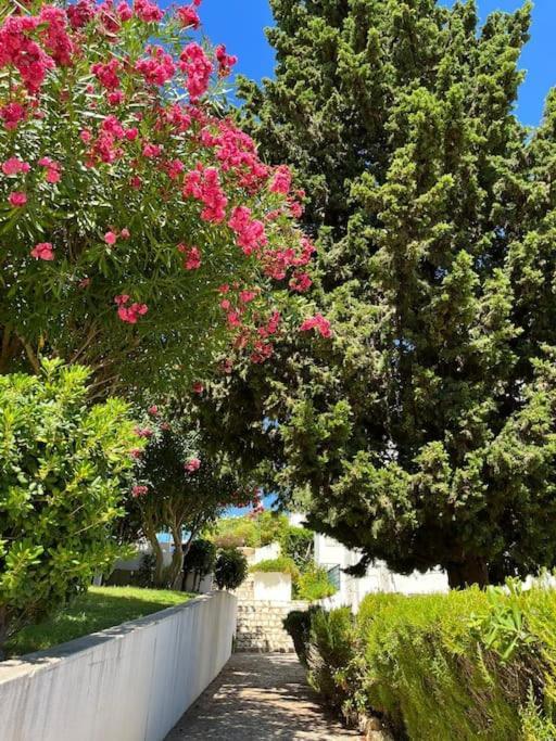 Апартаменти Casa Oliveira - Algarve Поршеш Екстер'єр фото