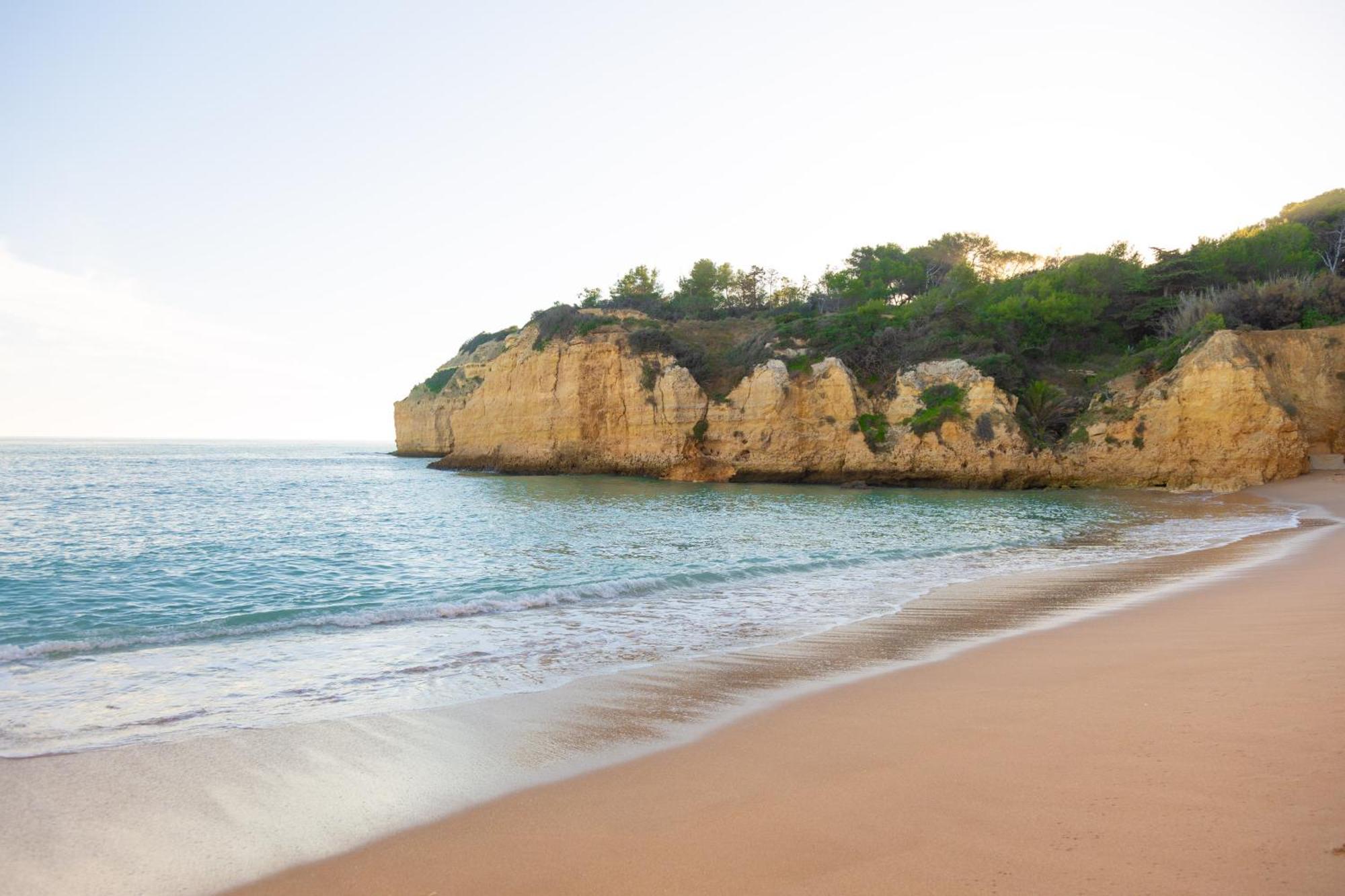 Апартаменти Casa Oliveira - Algarve Поршеш Екстер'єр фото